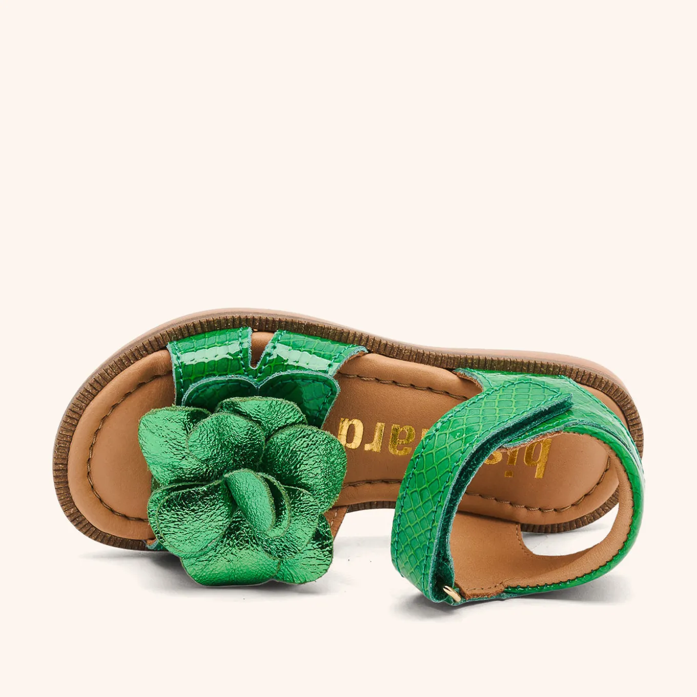 agnes green croco