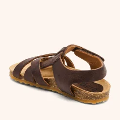 aiden dark brown