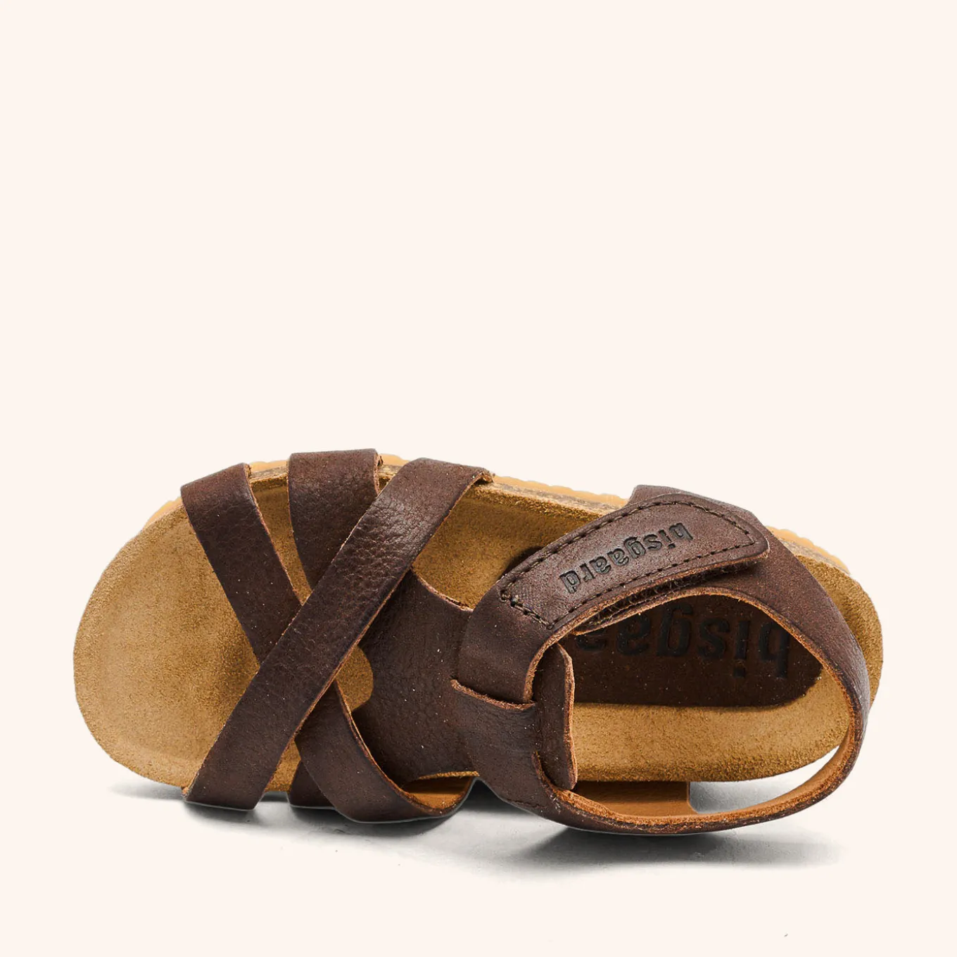 aiden dark brown
