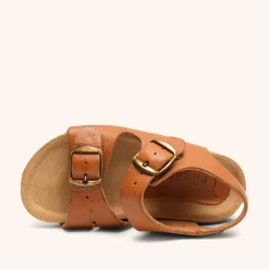 alfie cognac