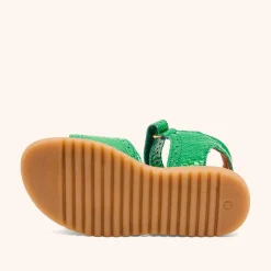 andrea green croco