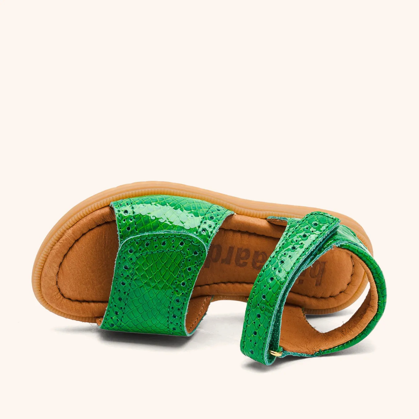 andrea green croco