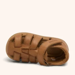 aura cognac