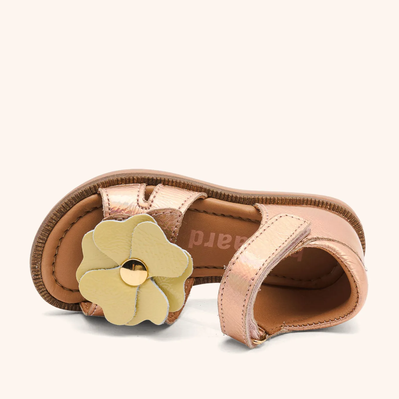 barbara rose metallic