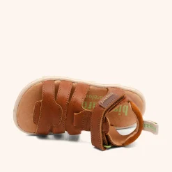 barefoot atlas cognac
