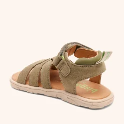 barefoot atlas sage