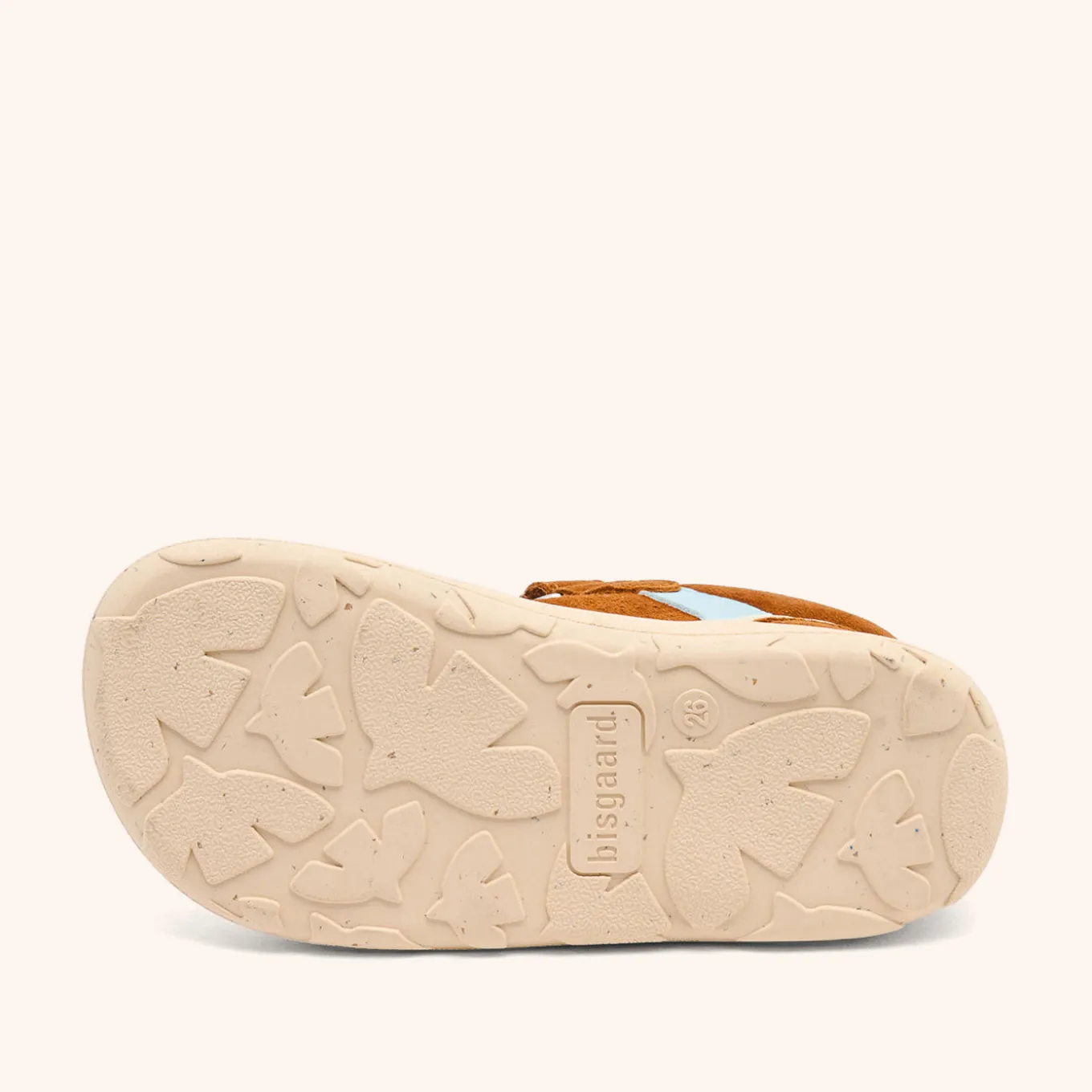 barefoot baloo cacao
