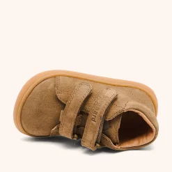 barefoot dex earth