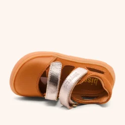 barefoot michi cacao