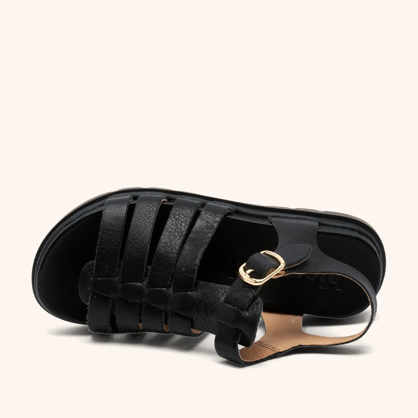 bera black