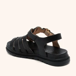 bera black