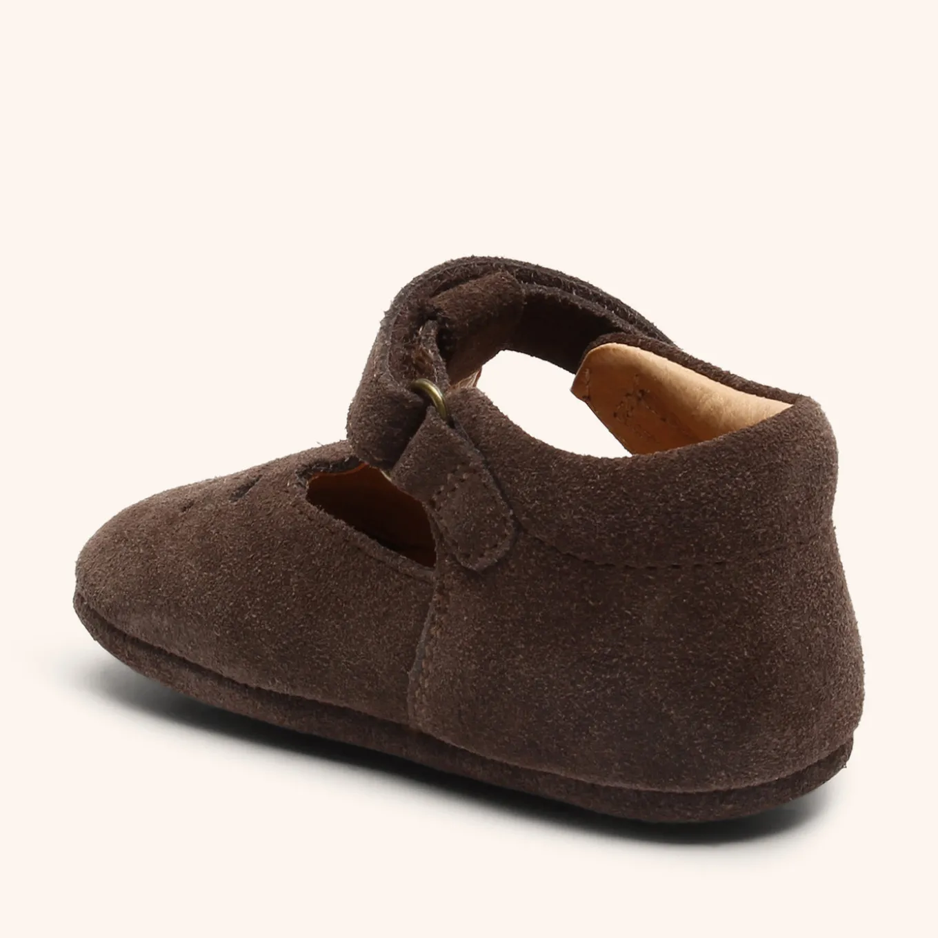bloom dark brown