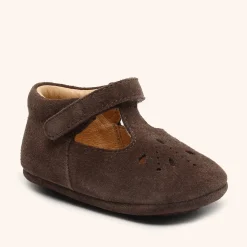 bloom dark brown