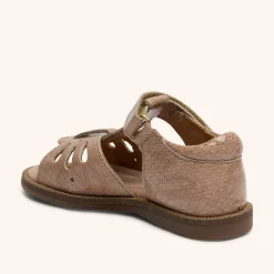 cassidy c camel croco