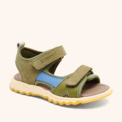 coco olive