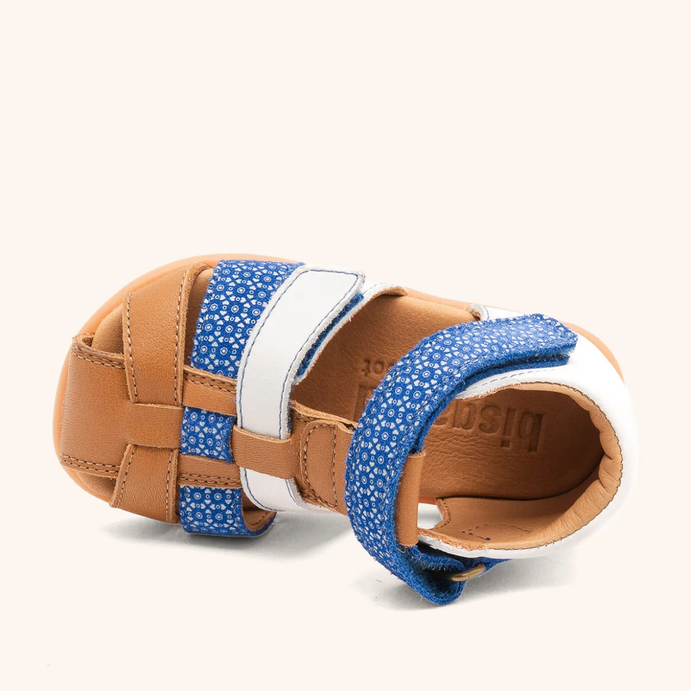 ecobirdy x barefoot cooper coastal