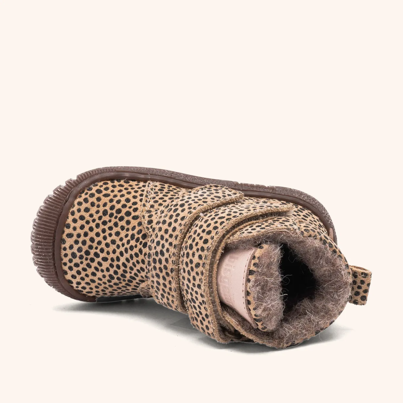 evon tex black dots