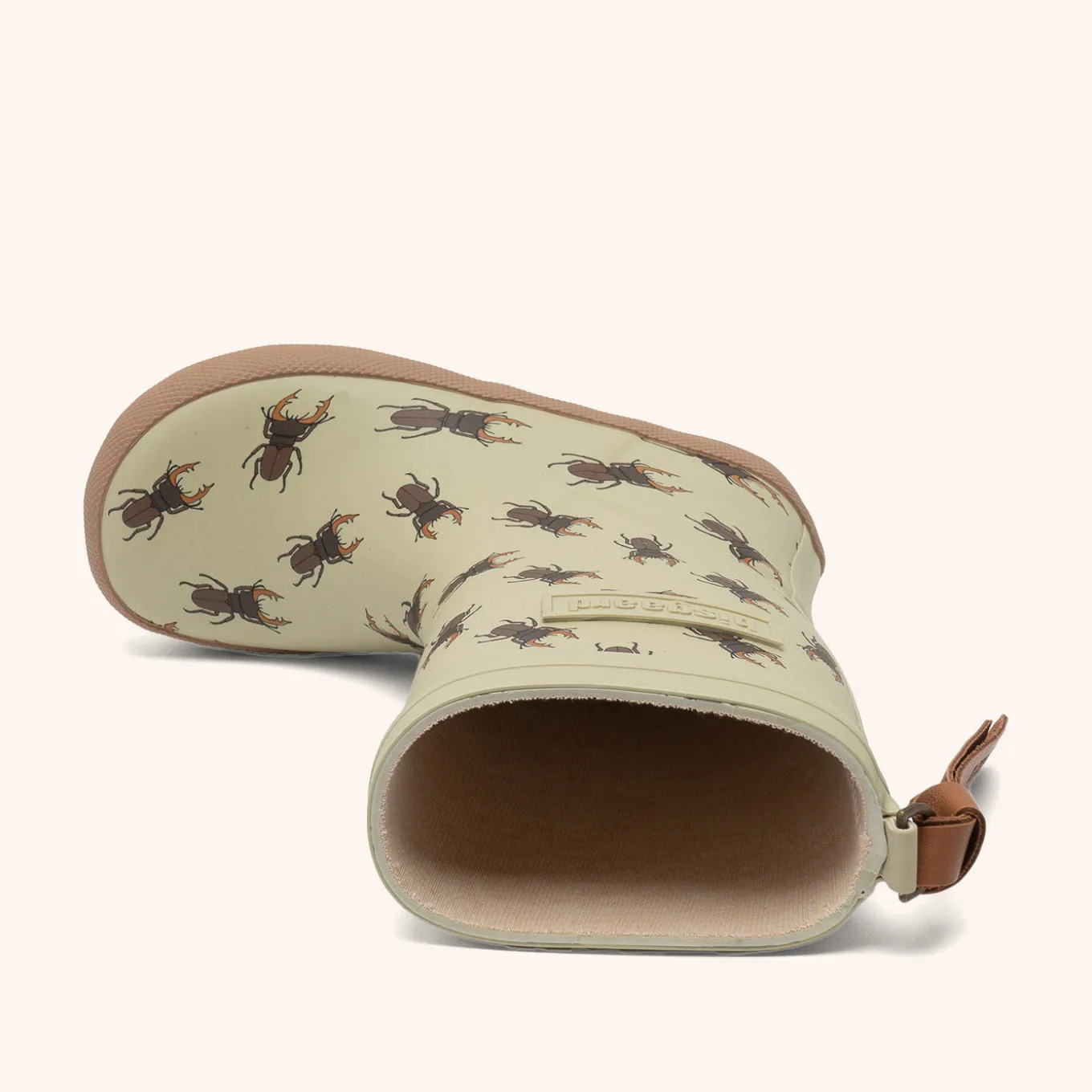 fashion brown beetles