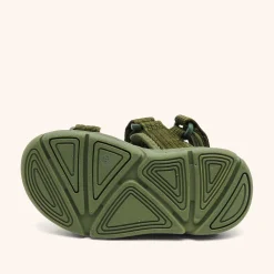 louis olive