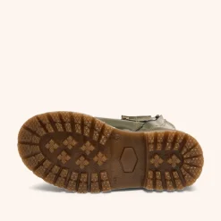 maia lamb green polido