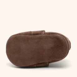 newborn chocolate
