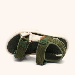 nico olive