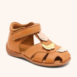 oline cognac