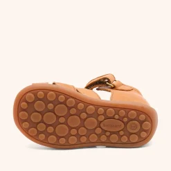 oline cognac