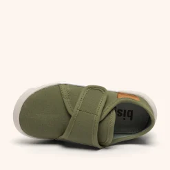 pav forest green