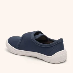 pav ocean