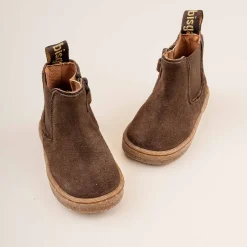 phillip dark brown