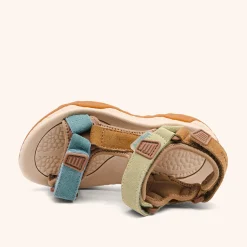 raden brown