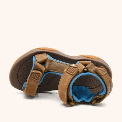 raden olive