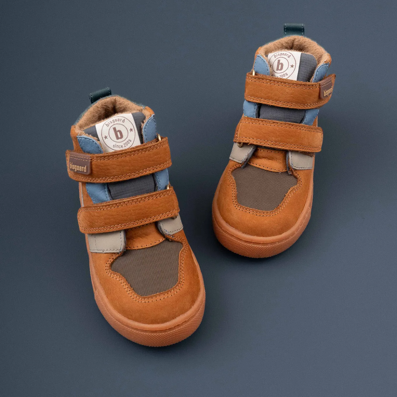 roy tex camel