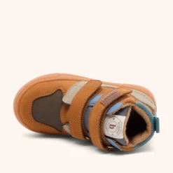 roy tex camel