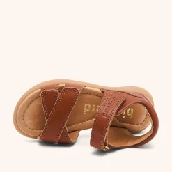 sofie cognac